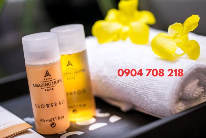 khách sạn amazing hotel sapa 