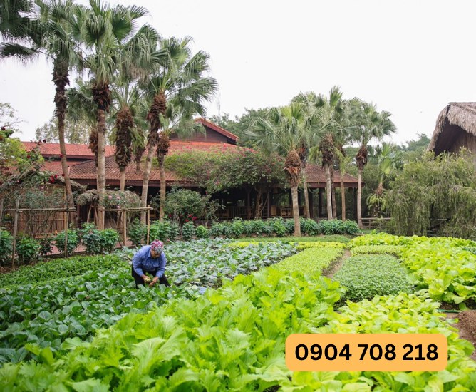 giá thảo viên resort