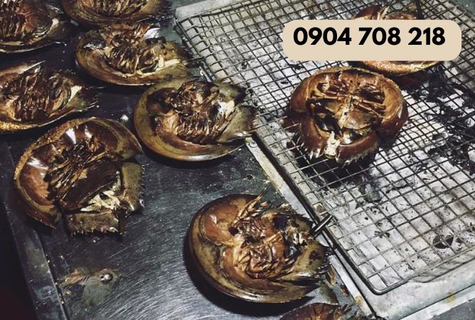 khách sạn seapearl cát bà