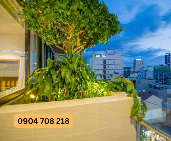 ks soho da nangks soho da nang